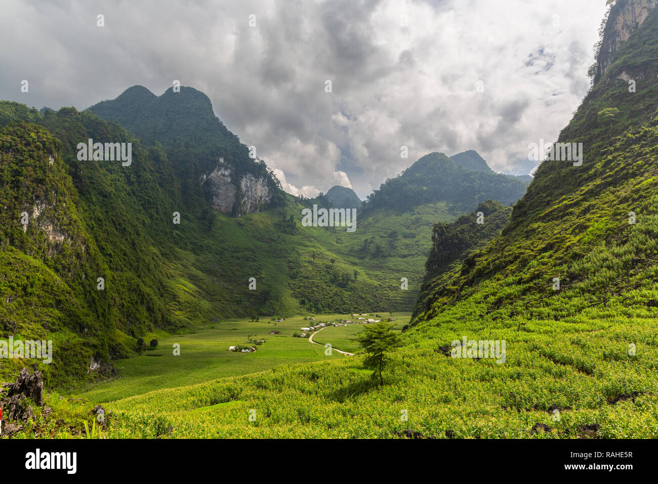 Mountain valley surrounded by fields of corn and rice. Ha Giang Loop, Ha Giang Province, Vietnam, Asia Stock Photo