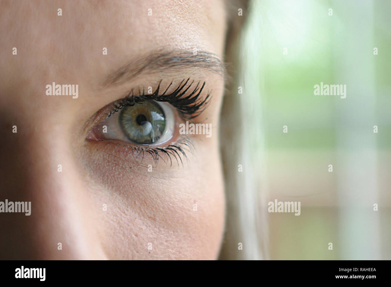 Young brunette woman's eye and half of her face. Stock Photo