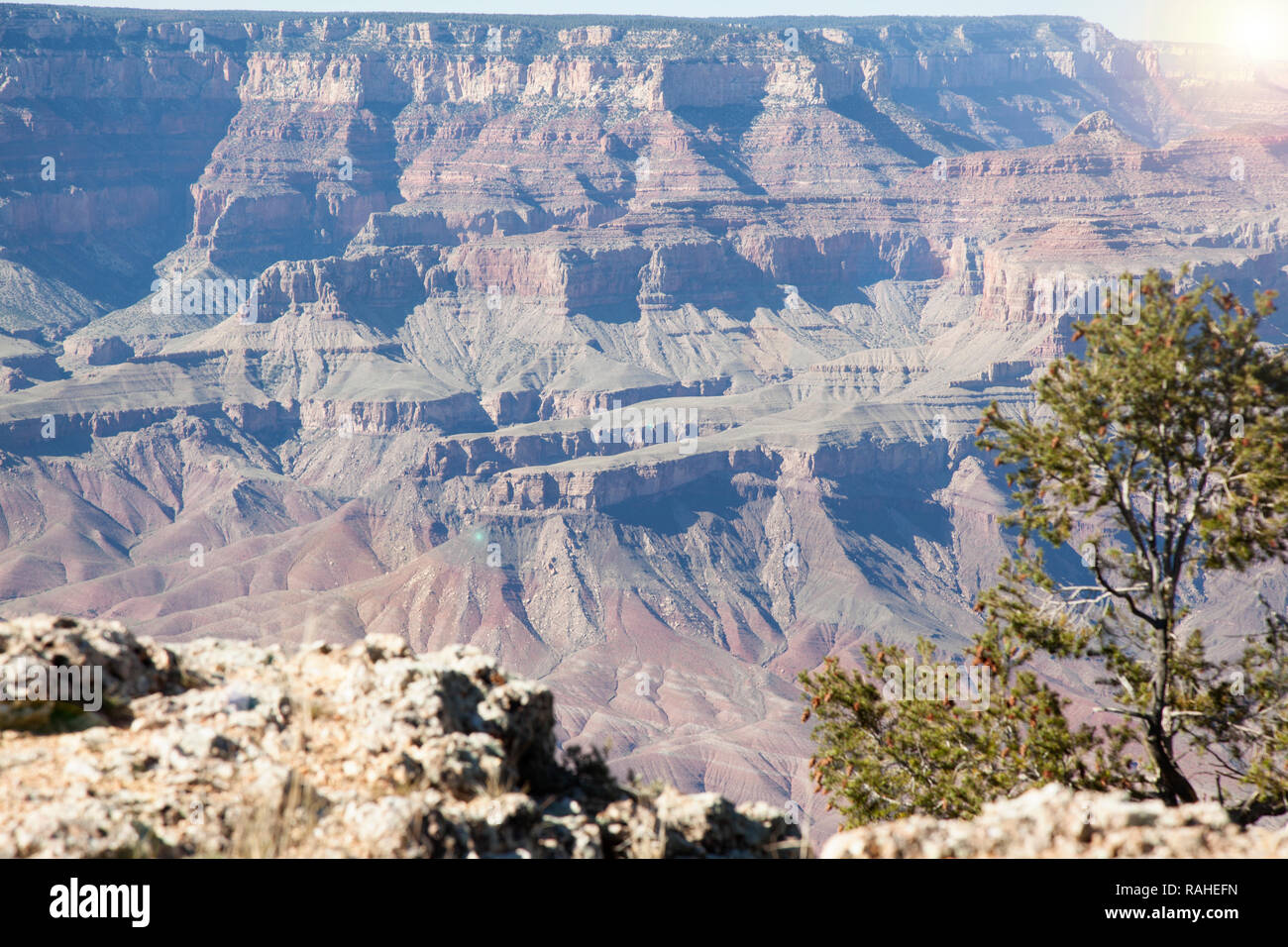 view of Grand Canyon from Navajo Point  lookout Stock Photo