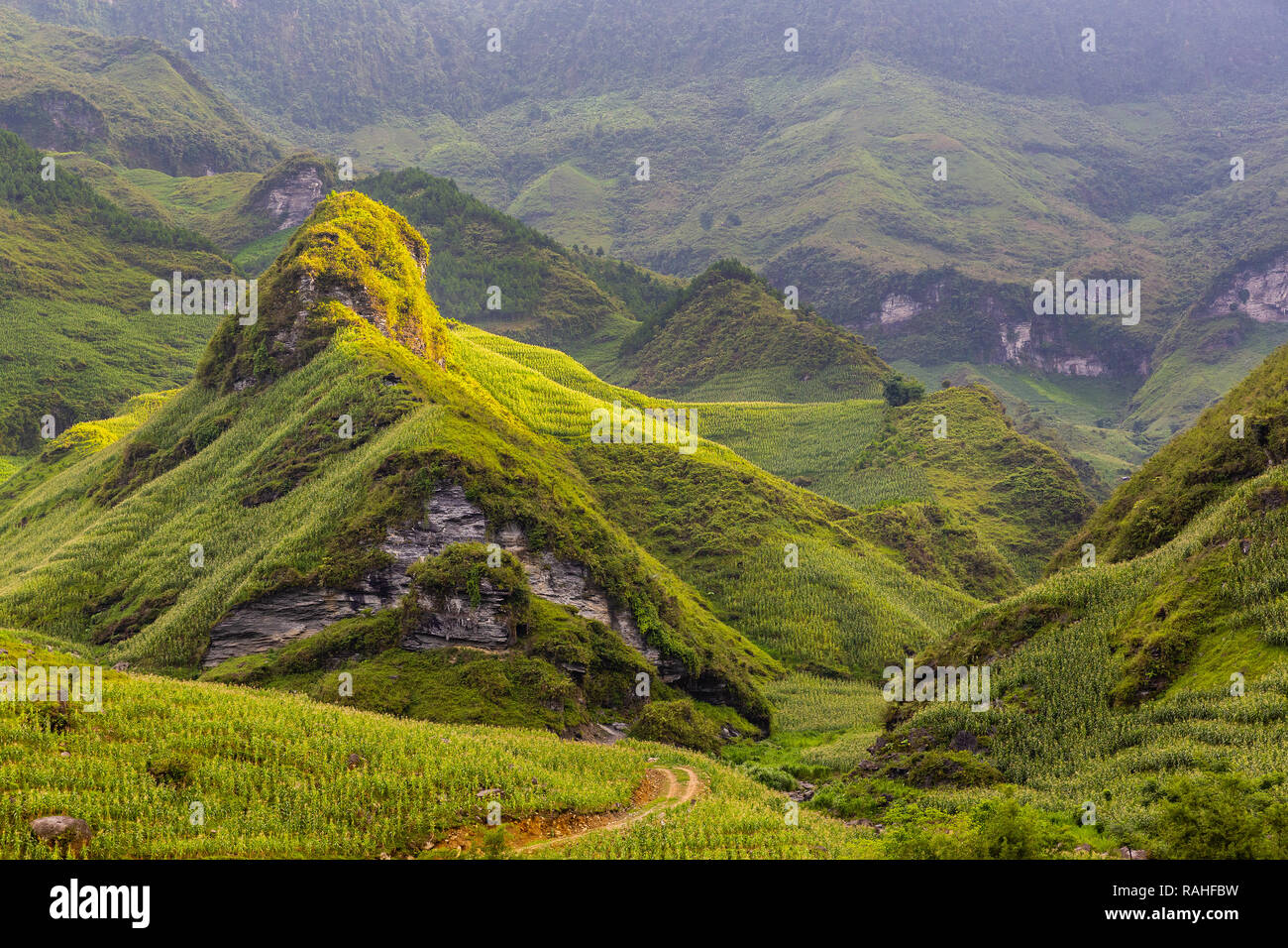 Beautiful mountain peak glowing in the afternoon sunlight. Ha Giang Loop, Ha Giang Province, Vietnam, Asia Stock Photo