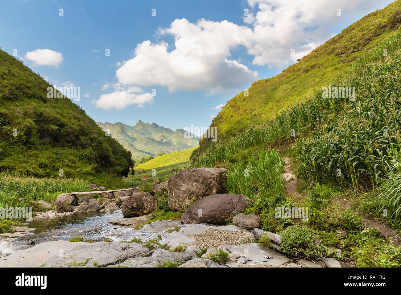 Winding brook and filed of corn in mountain nature area. Ha Giang Loop, Ha Giang Province, Dong Van, Vietnam, Asia Stock Photo