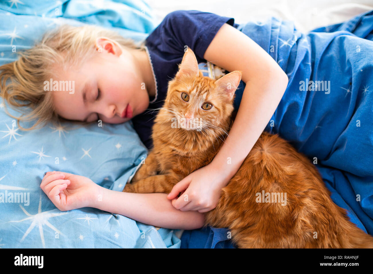 Ginger fluffy cat with little sleeping girl on the blue bed Stock Photo ...