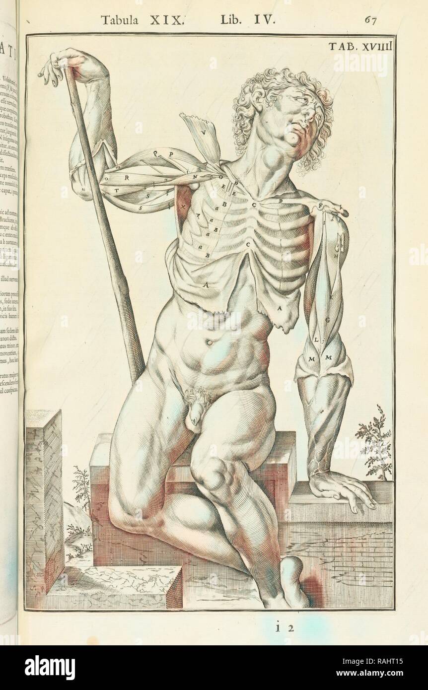 Lib. IV, Tabula XIX, Lib. IV, Adriani Spigelii Bruxellensis equitis D. Marci, olim in Patavino gymnasio anatomiae et reimagined Stock Photo