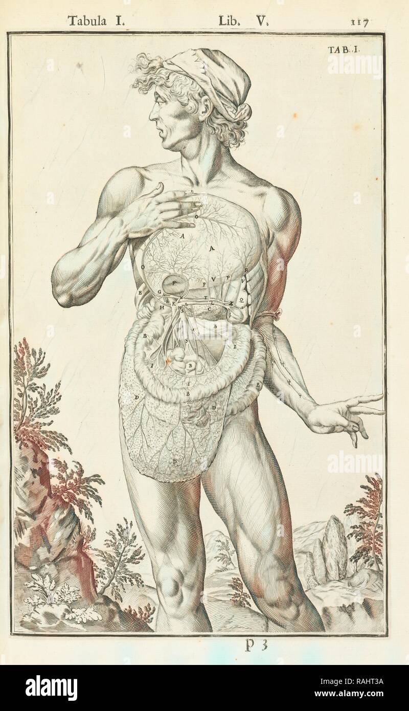 Lib. V, Tabula I, Lib. V, Adriani Spigelii Bruxellensis equitis D. Marci, olim in Patavino gymnasio anatomiae et reimagined Stock Photo