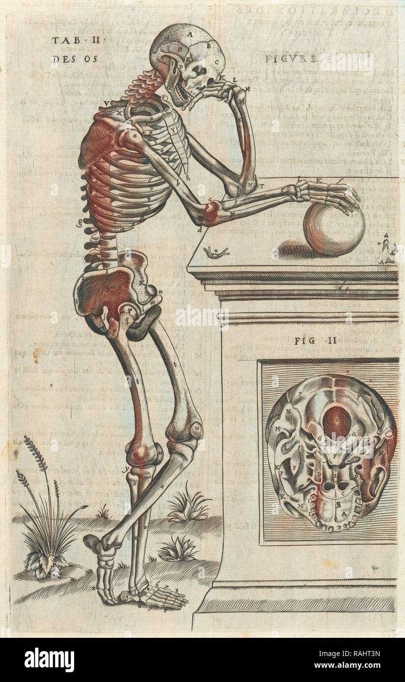 Plate 2, Tables anatomiques, avec les pourtraicts et declaration d'iceulx: ensemble un denombrement de cinq cens reimagined Stock Photo