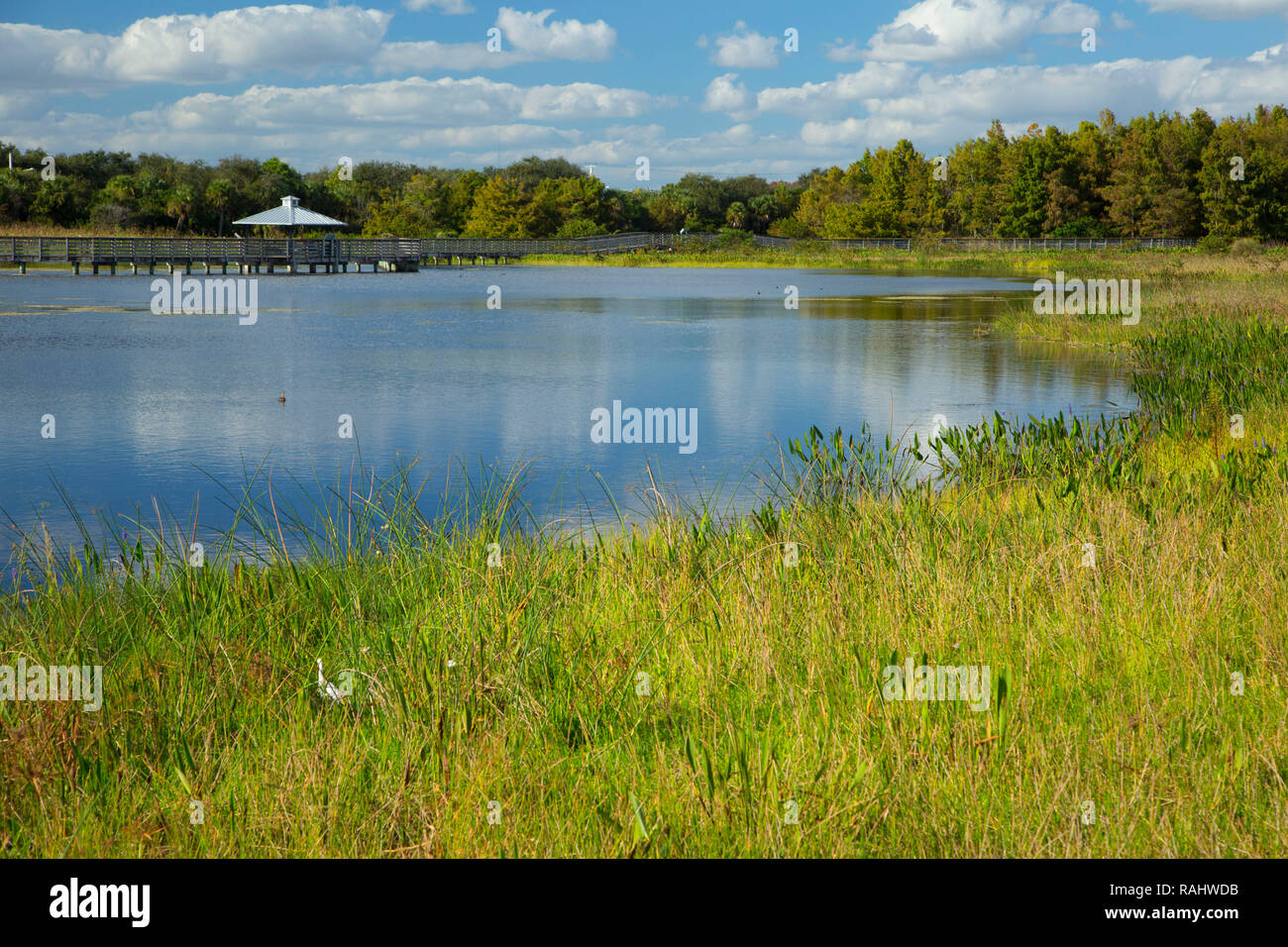 Boardwalk, Green Cay Nature Center, Boynton Beach, Florida Stock Photo