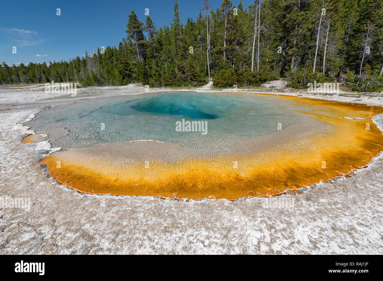 Colorful Hot Springs in Biscuit Basin in Yellowstone National Park, Wyoming, USA Stock Photo