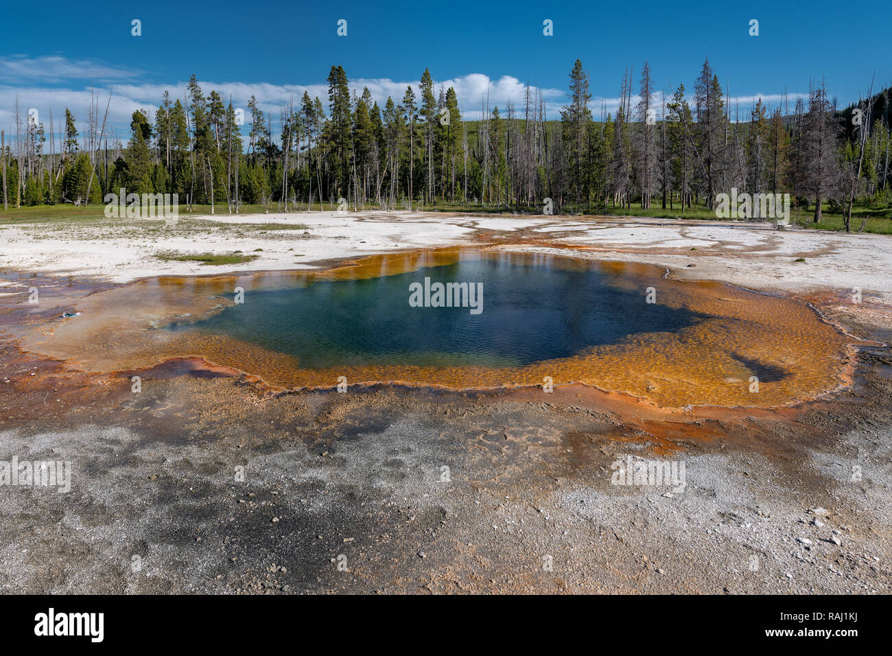 Colorful Hot Springs in Biscuit Basin in Yellowstone National Park, Wyoming, USA Stock Photo