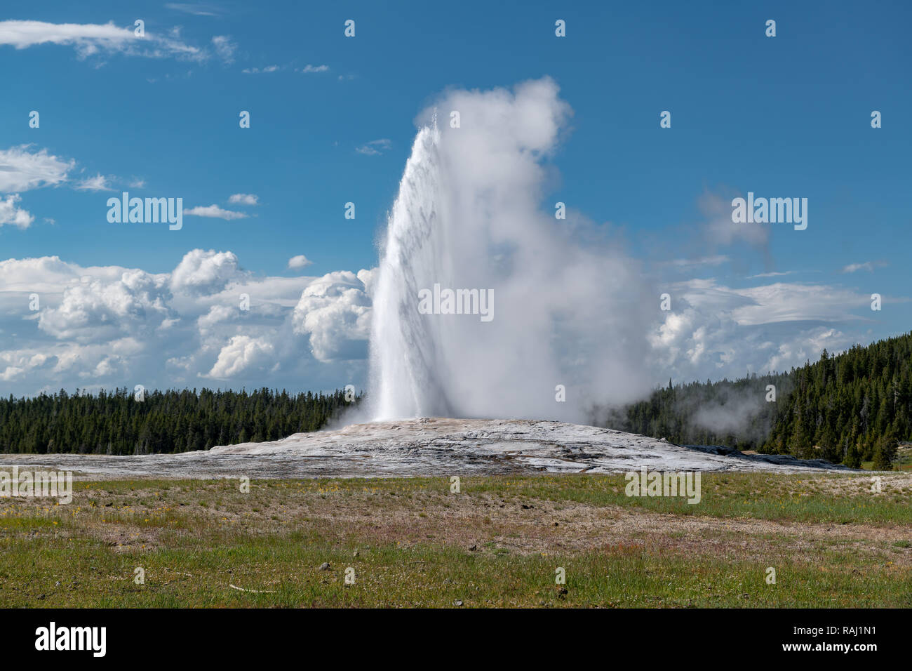 Eruption of Old Faithful geyser at Yellowstone National Park USA Stock ...