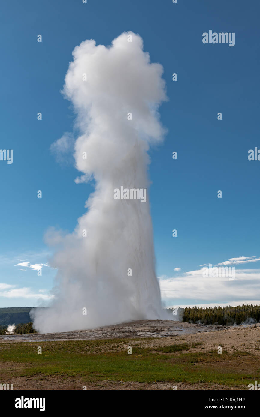 Eruption of Old Faithful geyser at Yellowstone National Park USA Stock ...