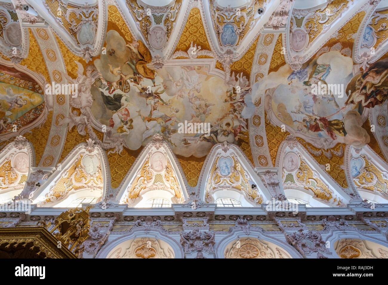 Ceiling frescos, Cathedral St. Maria and St. Korbinian, Freising, Upper Bavaria, Bavaria, Germany Stock Photo