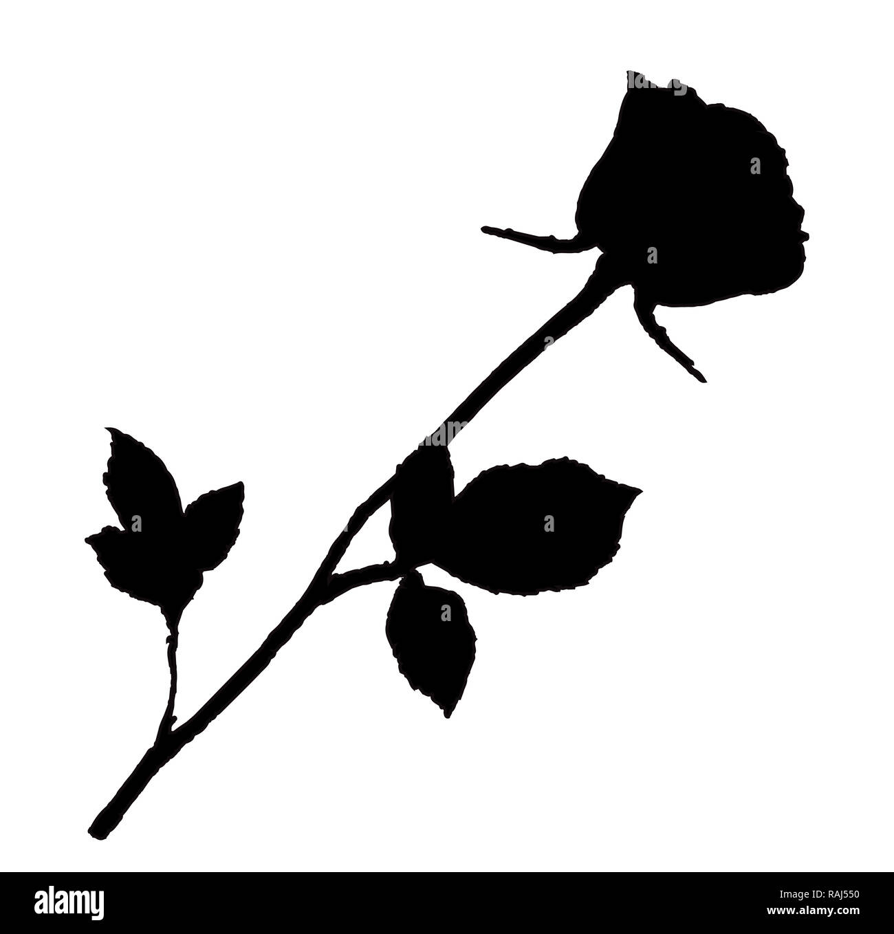 My Image 22