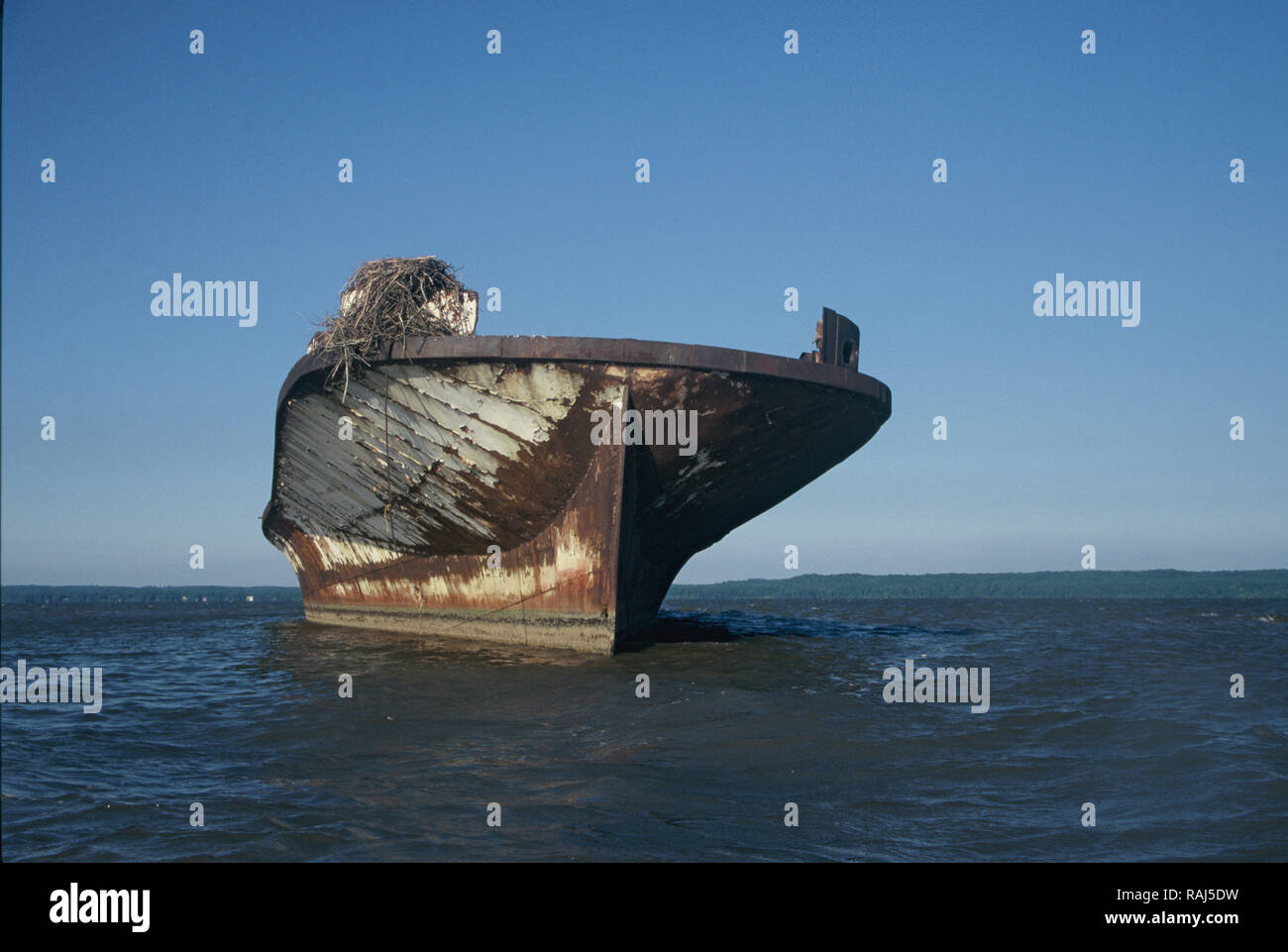 The ships on the bottom of Mallows Bay South of Washington in the
