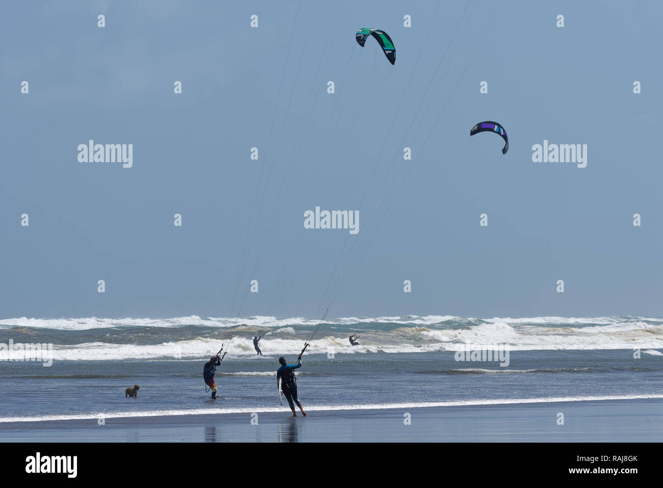 Kite surfers on the beach and in the water under clear skies on a windy day Stock Photo