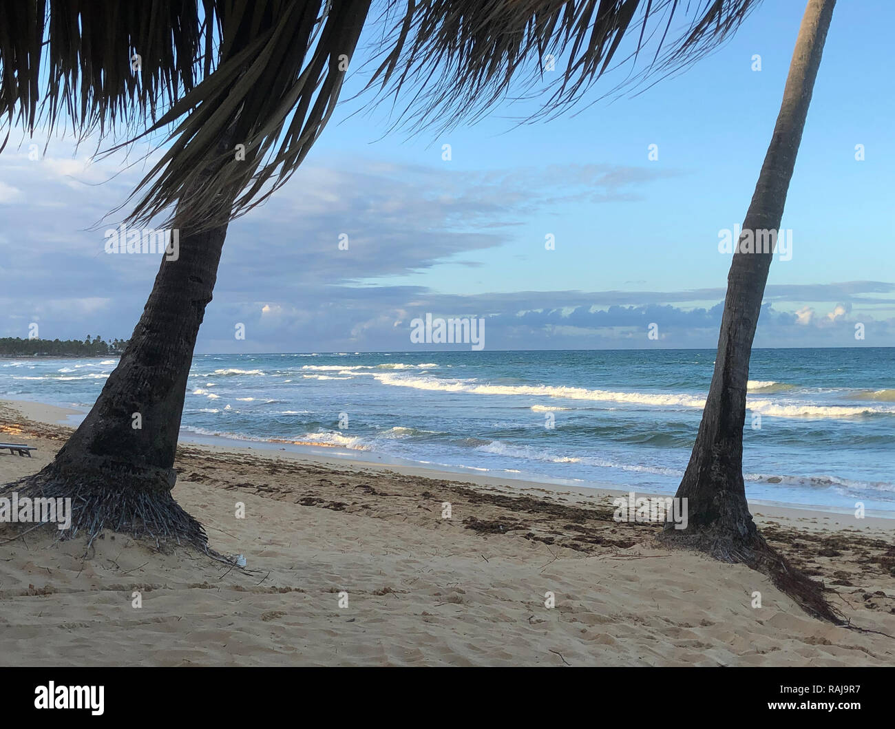 PLAYA CANA beach in the Dominican Republic. Photo: Tony Gale Stock Photo