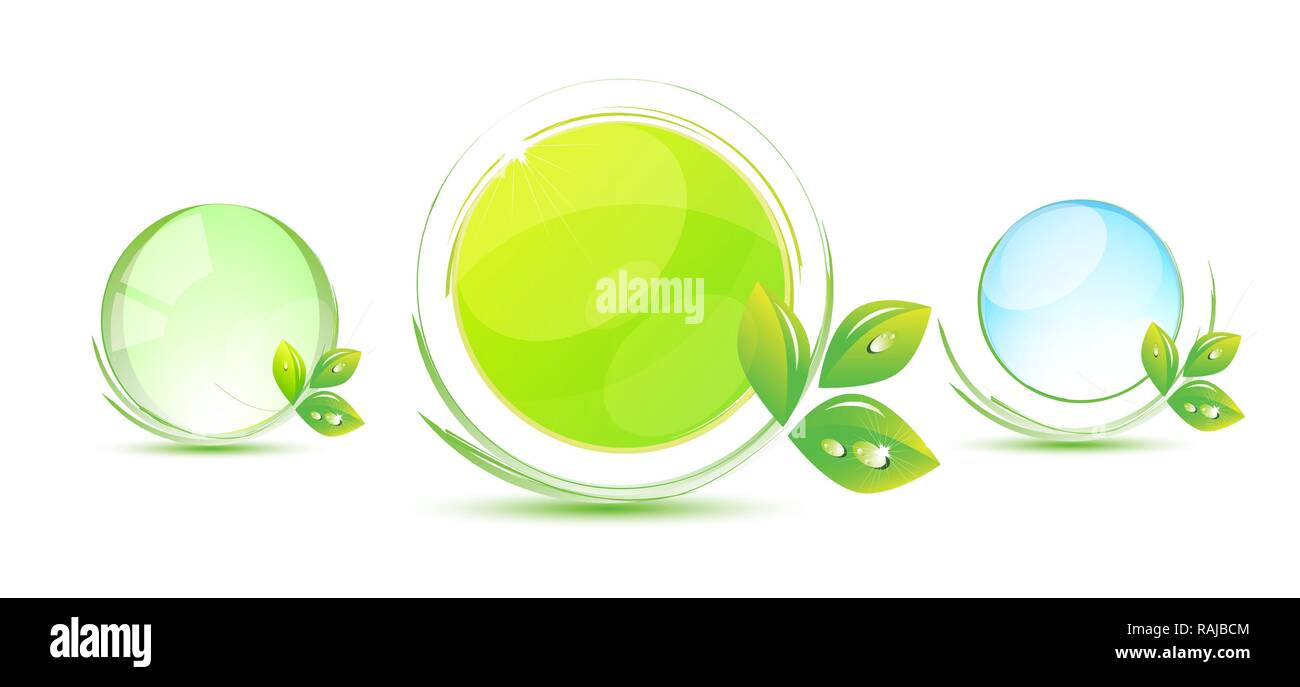 Collection Eco Design Elements, Isolated On White Background, Vector Illustration Stock Vector