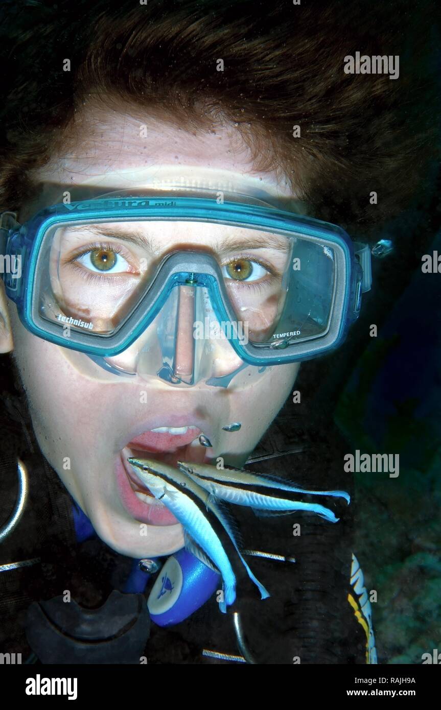 Young diver having mouth cleaned by cleanerfish, Sabre-toothed blenny (Aspidontus taeniatus), Red Sea, Egypt, Africa Stock Photo