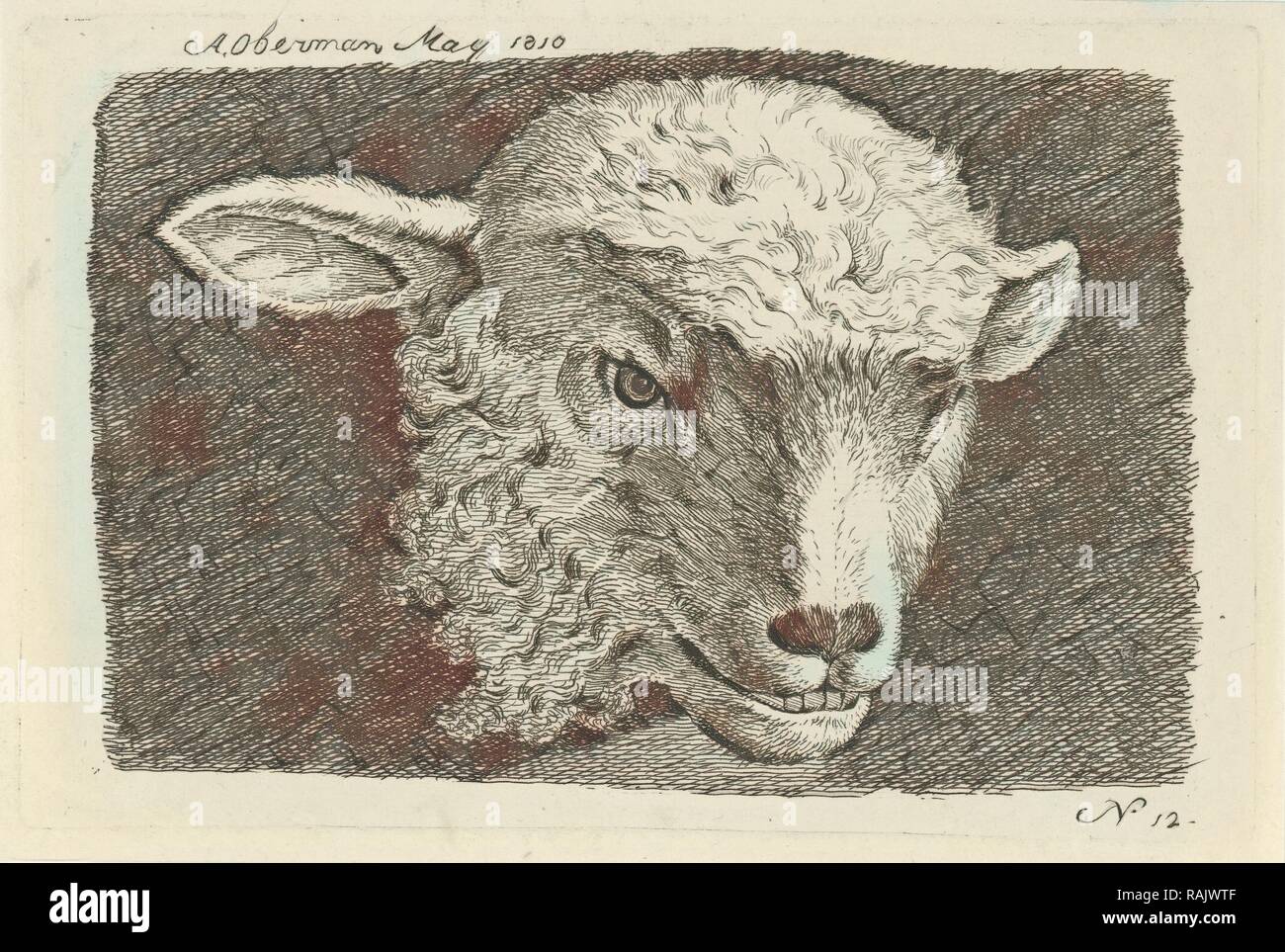 Head of a lamb, Anthony Oberman, 1810. Reimagined by Gibon. Classic art with a modern twist reimagined Stock Photo