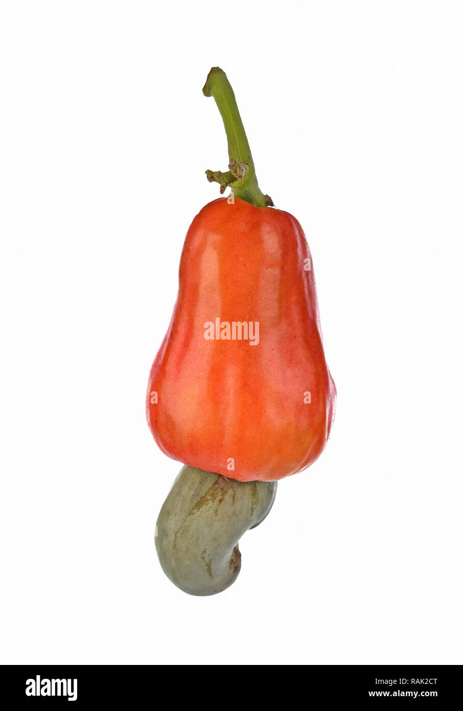 red cashew fruit isolated on white background Stock Photo Alamy