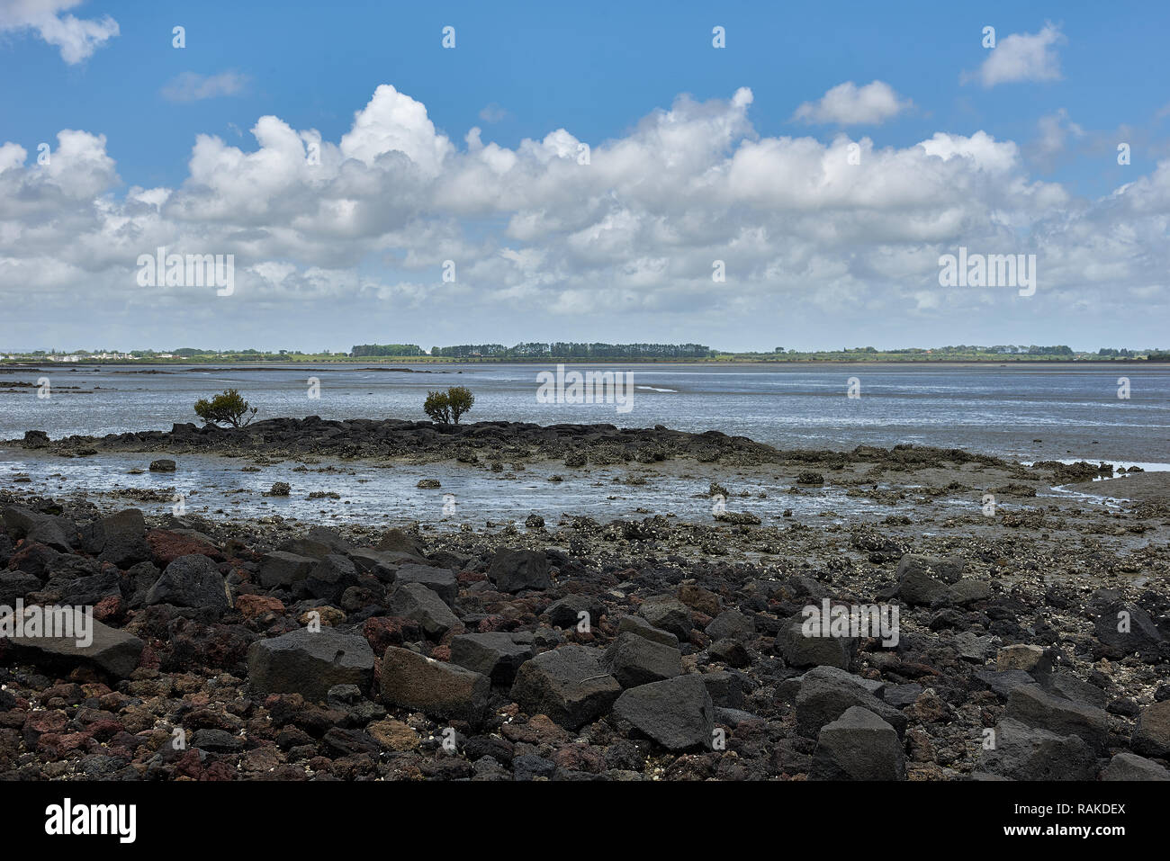 Marshy Inlets An inlet at low tide revealing marshy ground with lava rocks under a ...