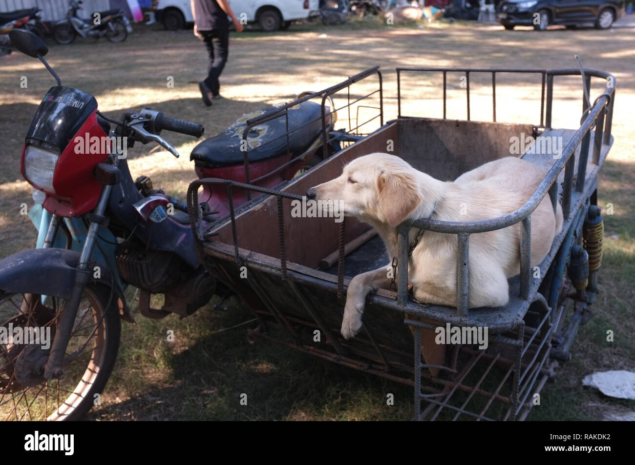 Dog cart cheap for motorcycle