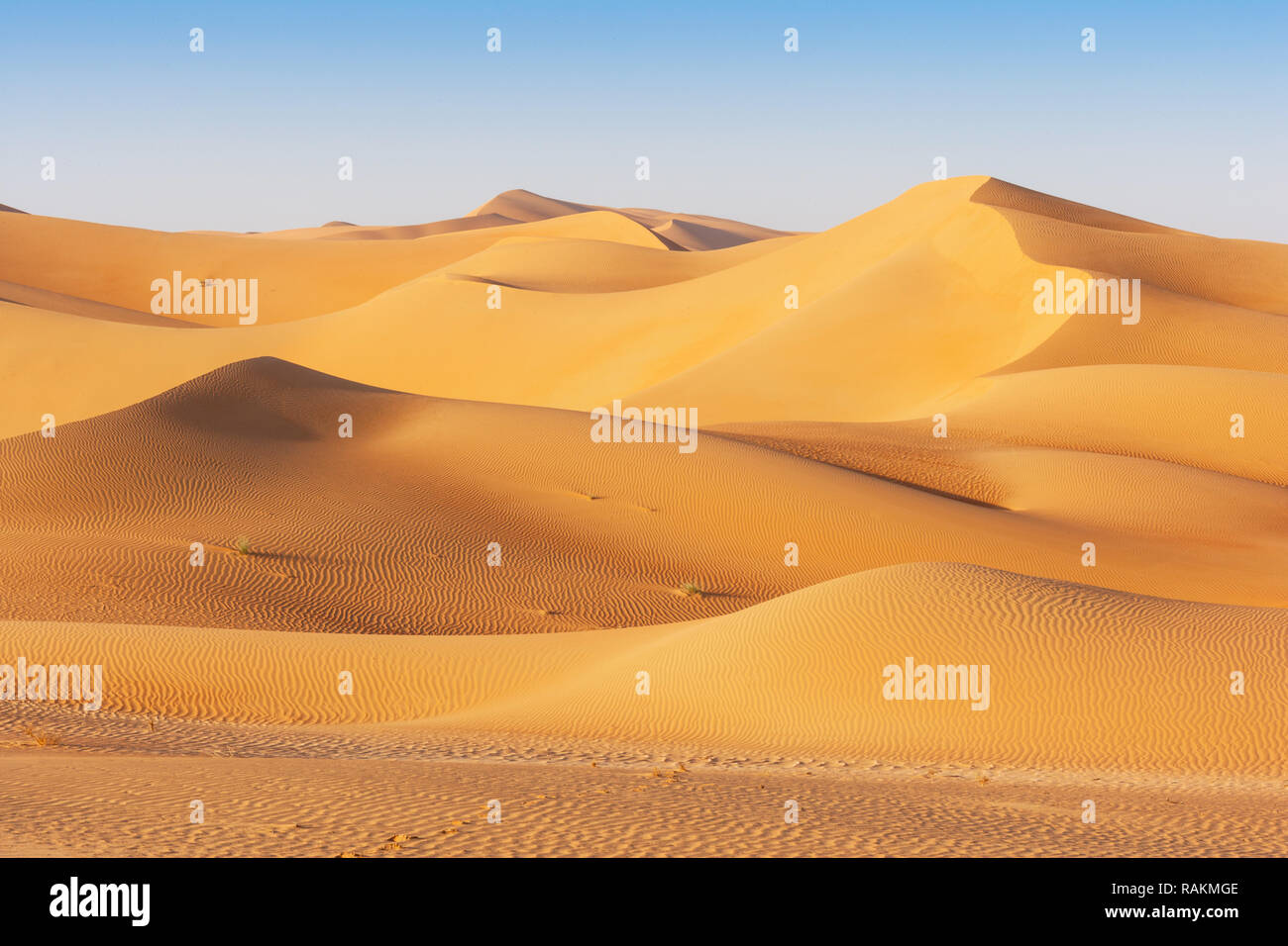 A Dune Landscape In The Rub Al Khali Or Empty Quarter Straddling Oman Saudi Arabia The Uae And Yemen This Is The Largest Sand Desert In The World Stock Photo Alamy