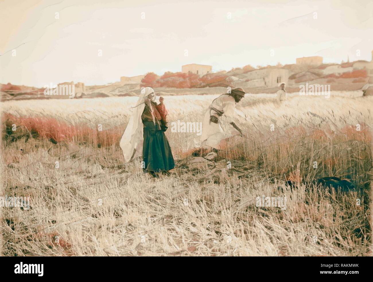 Harvesting and threshing floor scenes in the story of Ruth & Boaz 1898