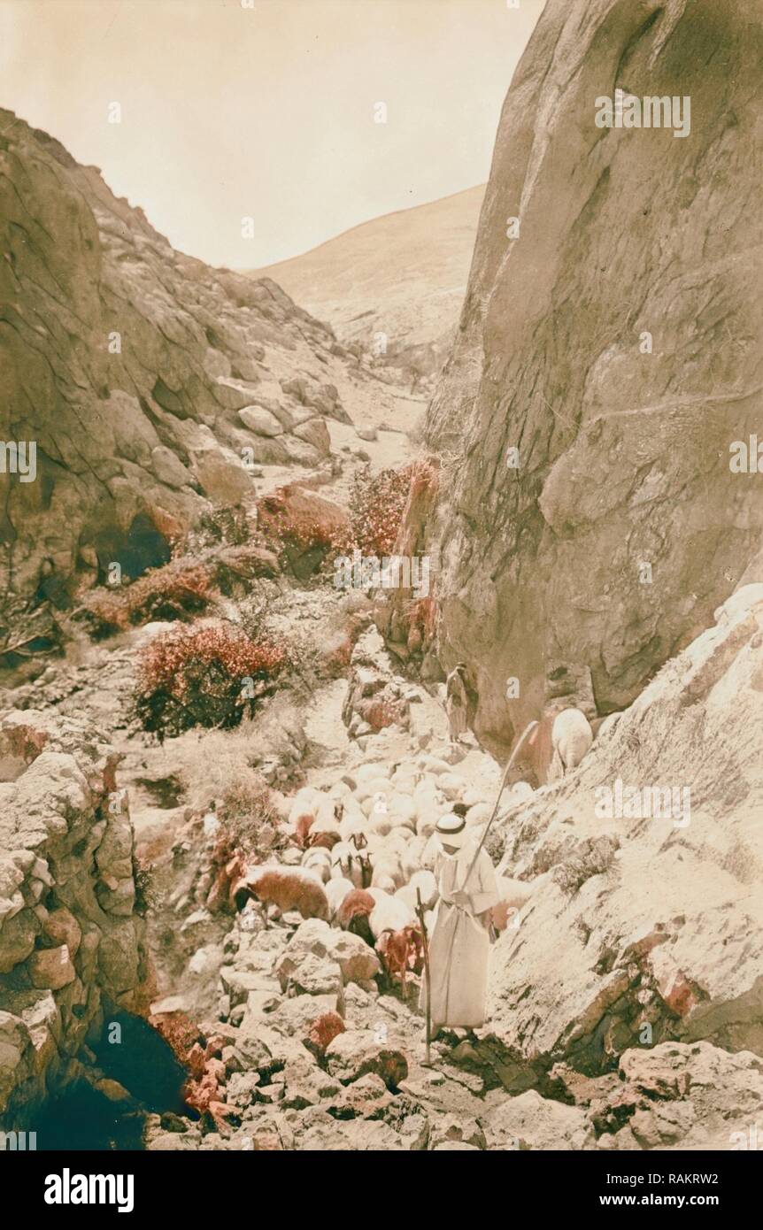 Shepherd Life Illustrating The Twenty Third Psalm Thy Rod And Thy