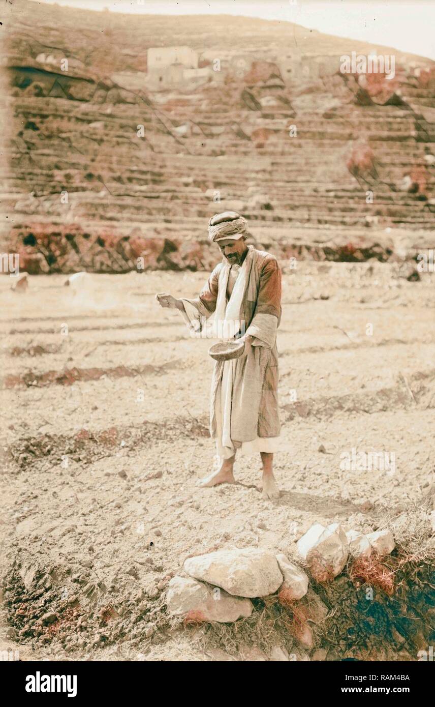 Arab peasant sowing grain. 1898, Middle East, Israel and/or Palestine. Reimagined by Gibon