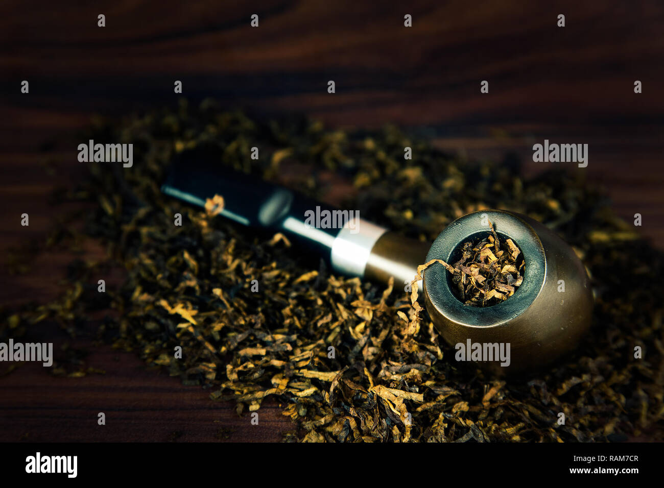 Unhealthy Addiction Nicotine Tobacco Pipe Cigar Photo Stock Photo Alamy