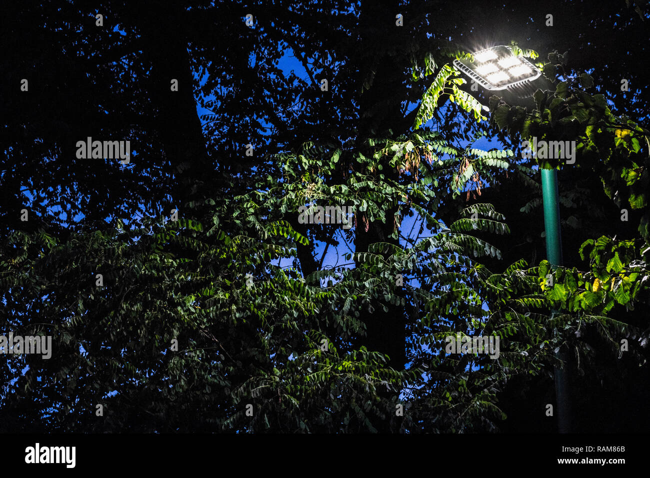 LED street lighting glare and high intensity light distribution on