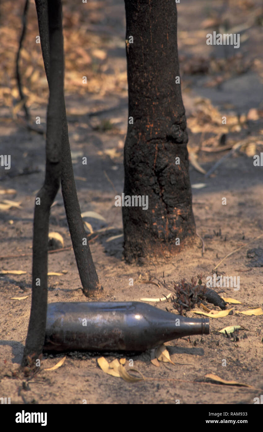 AFTERMATH OF SYDNEY BUSHFIRES, DECEMBER 2001, NEW SOUTH WALES, AUSTRALIA Stock Photo