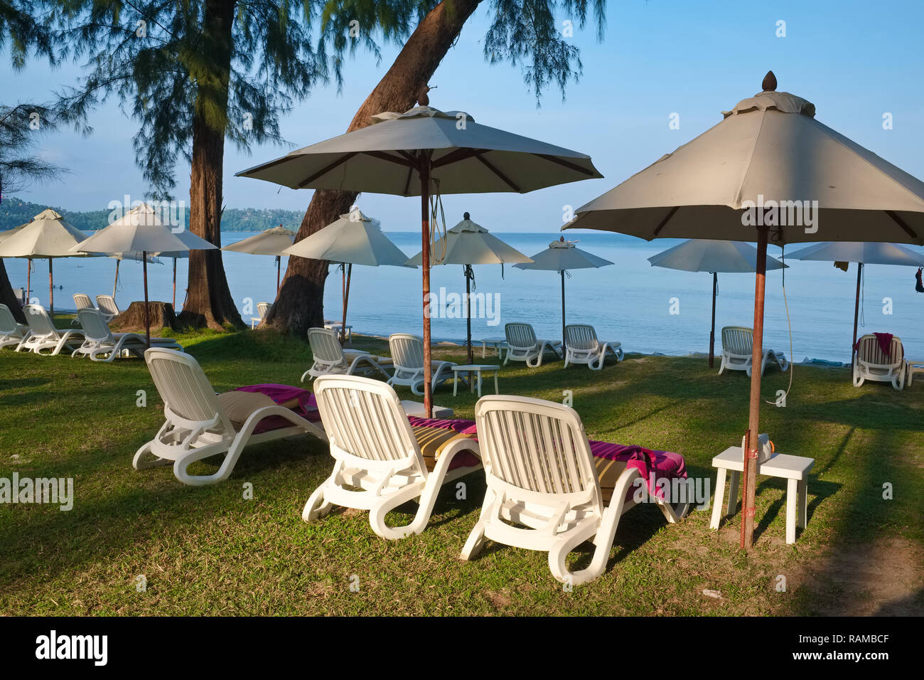 Sun loungers and parasols in the garden of Dusit Thani Laguna Phuket Resort,  Bang Tao Beach, Phuket, Thailand Stock Photo