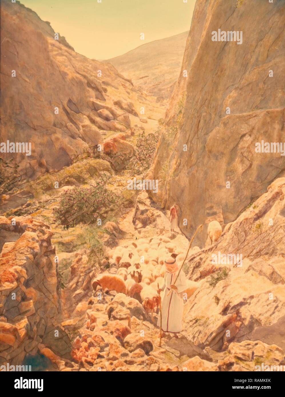 Shepherd Life Illustrating The Twenty Third Psalm Thy Rod And Thy
