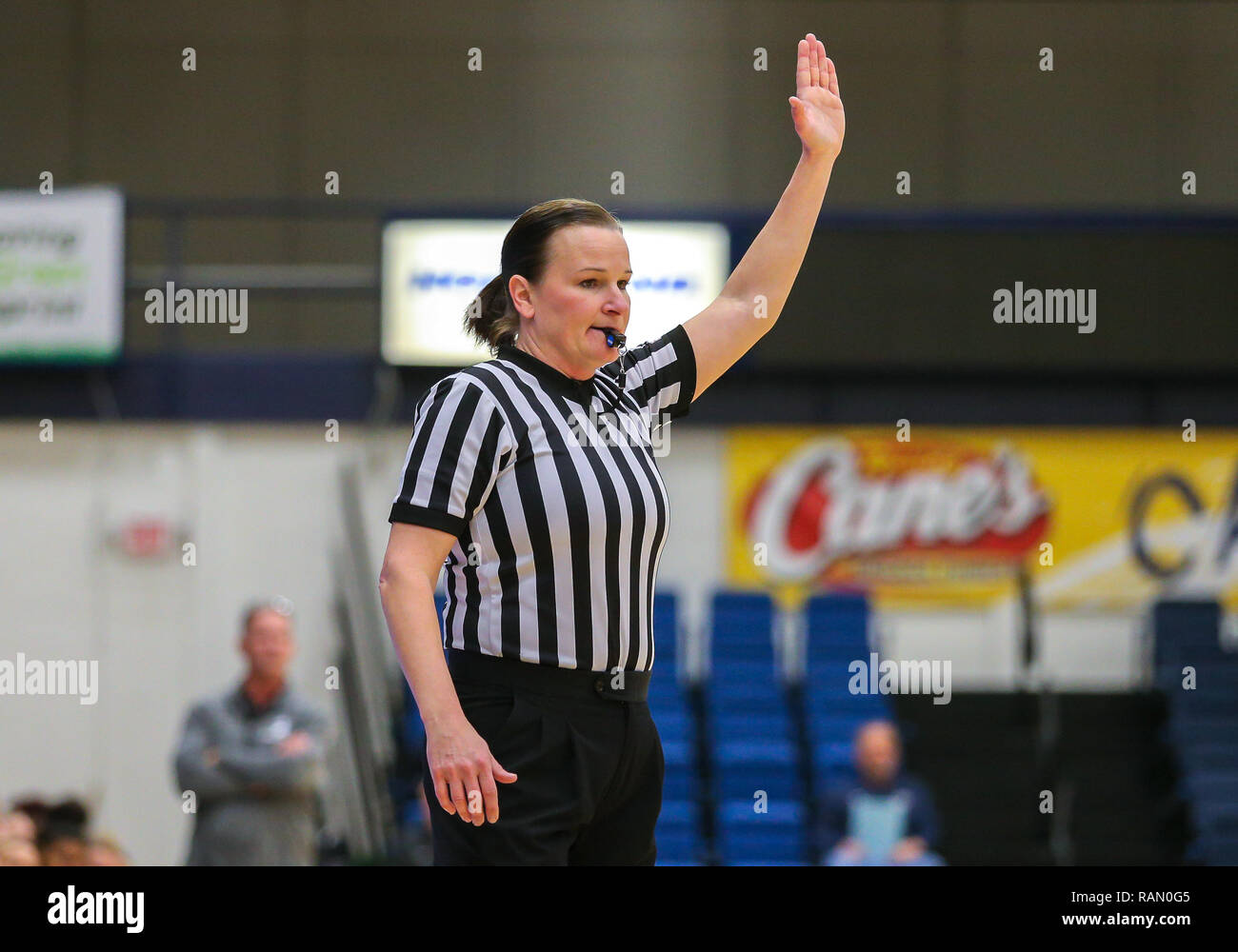 Griffons griffons griffons griffons griffons hires stock photography