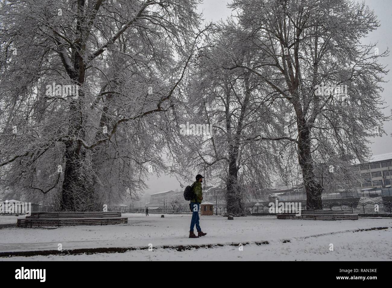 A Kashmiri boy seen walking through a snow covered garden during snowfall. Kashmir received its first snowfall of the new year, breaking a month-long dry spell in the Valley. Srinagar recorded a 0 degrees Celsius -- an increase of over four degrees from minus 4.2 degrees Celsius on the previous, the Met department said. The weather department has predicted more snowfall in Kashmir over the next three days. Stock Photo