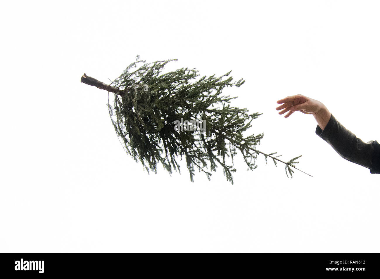 Peine, Germany. 05th Jan, 2019. A participant of the 1st Peiner Tannenbaum-Weitwurf-Wettbewerb throws a fir tree on the market place. For a good cause the Bürger-Jäger-Corps Peine calls for the disposal of old Christmas trees. In the Fir Tree Long Throw Competition, the trees may then be thrown as far as possible. Credit: Julian Stratenschulte/dpa/Alamy Live News Stock Photo