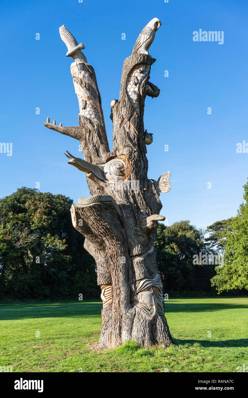 The old carved cedar tree at Stoke Lodge, Bristol Stock Photo Alamy