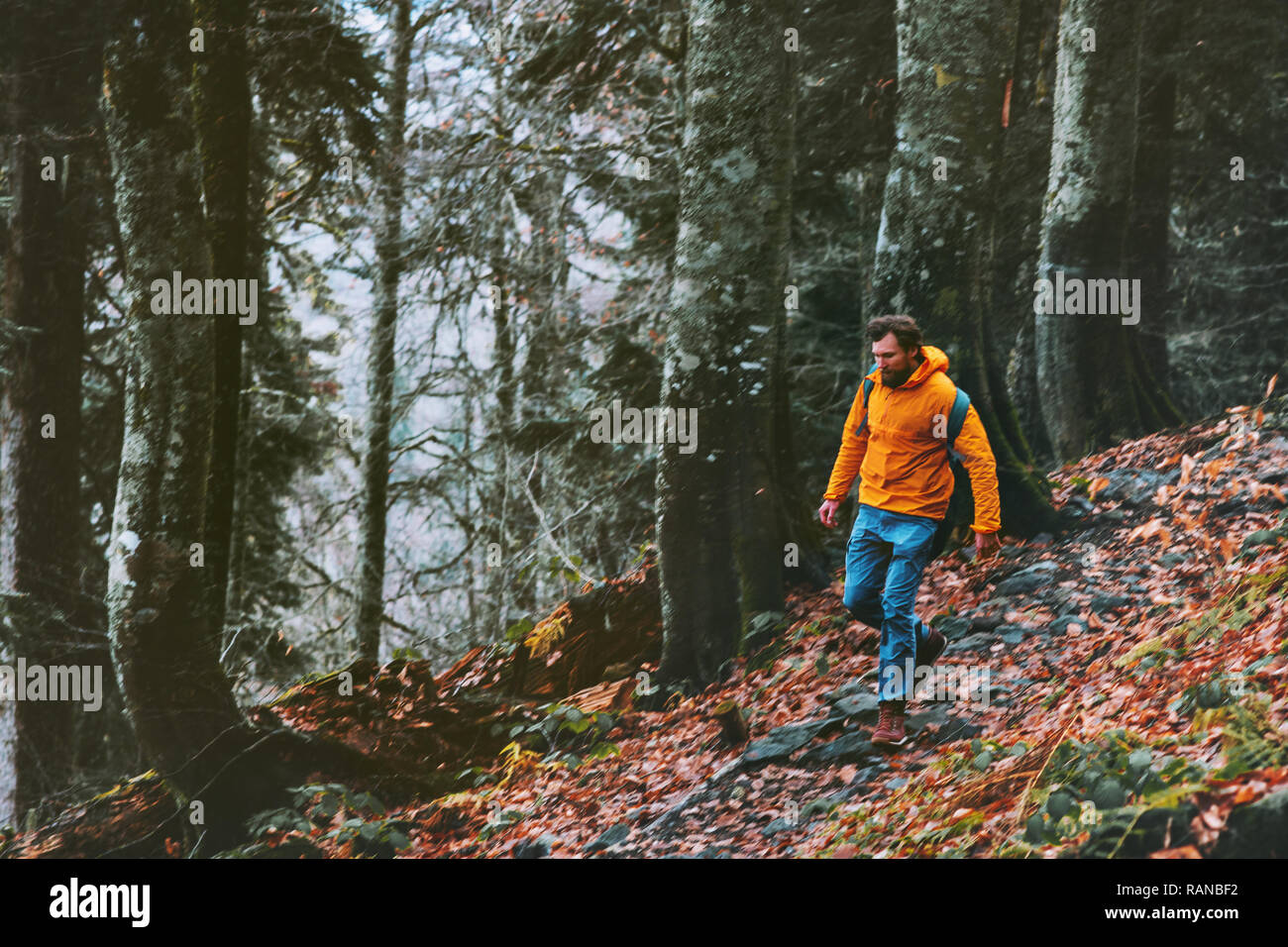 Man running in forest Travel healthy lifestyle adventure active vacations survival outdoor Stock Photo