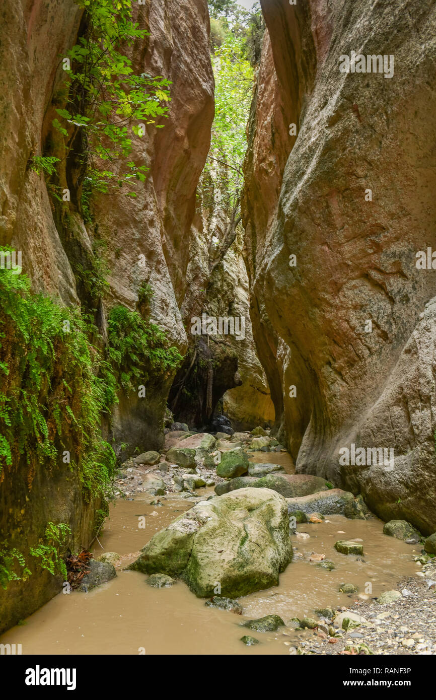 Avakas gulch, Akamas peninsula, Cyprus, Avakas-Schlucht, Akamas-Halbinsel, Zypen Stock Photo