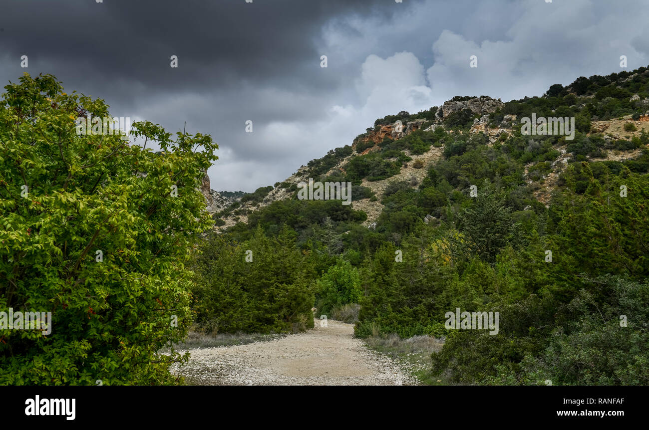 Footpath, Avakas gulch, Akamas peninsula, Cyprus, Wanderweg, Avakas-Schlucht, Akamas-Halbinsel, Zypen Stock Photo