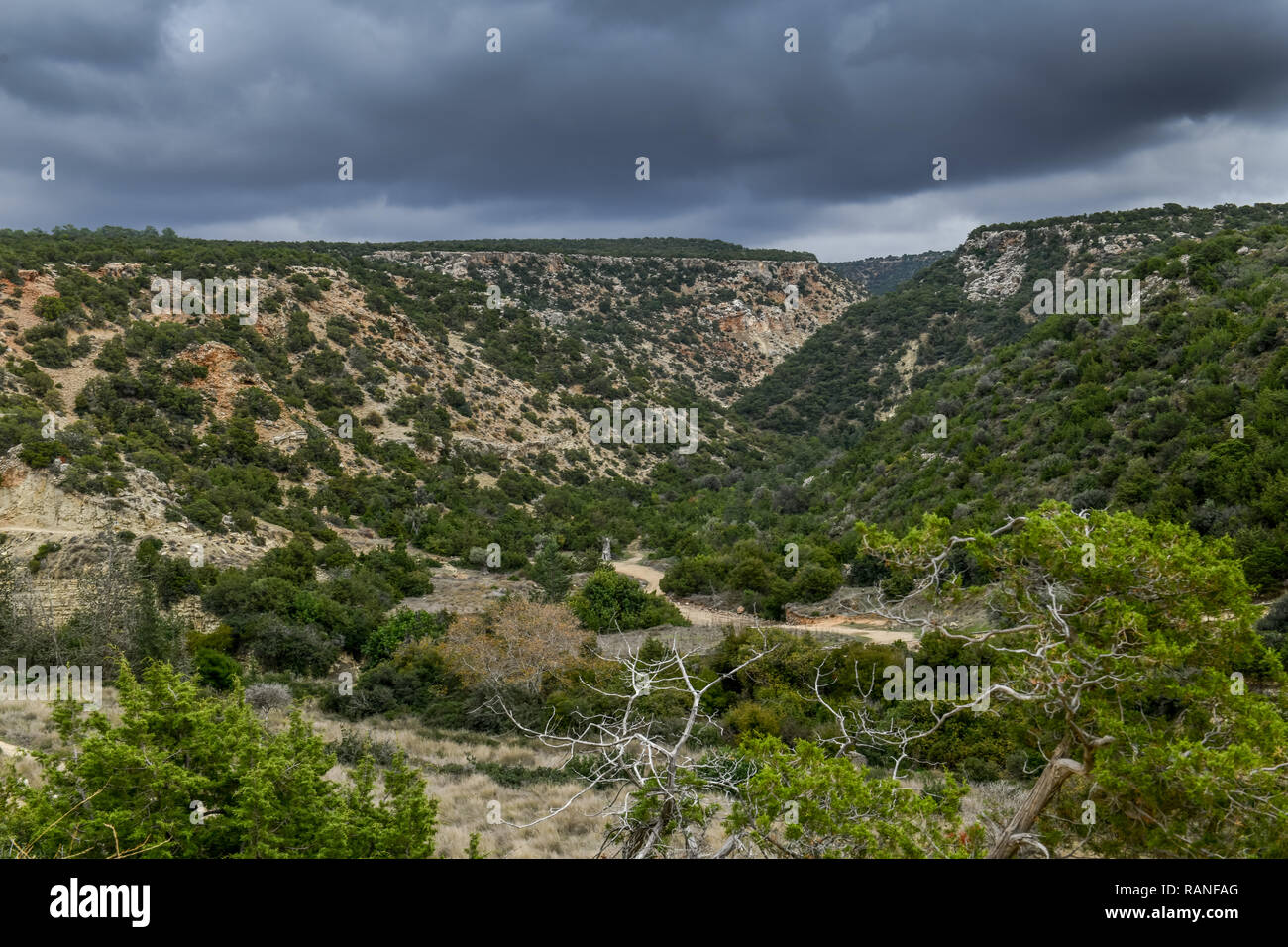 Avakas gulch, Akamas peninsula, Cyprus, Avakas-Schlucht, Akamas-Halbinsel, Zypen Stock Photo