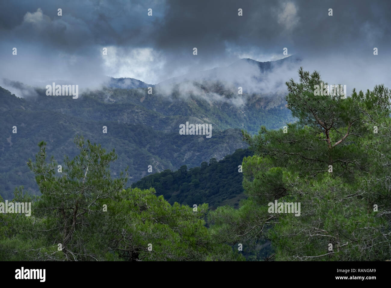 Paphos forest, Troodos mountains, Cyprus, Paphos-Forst, Troodos-Gebirge, Zypern Stock Photo