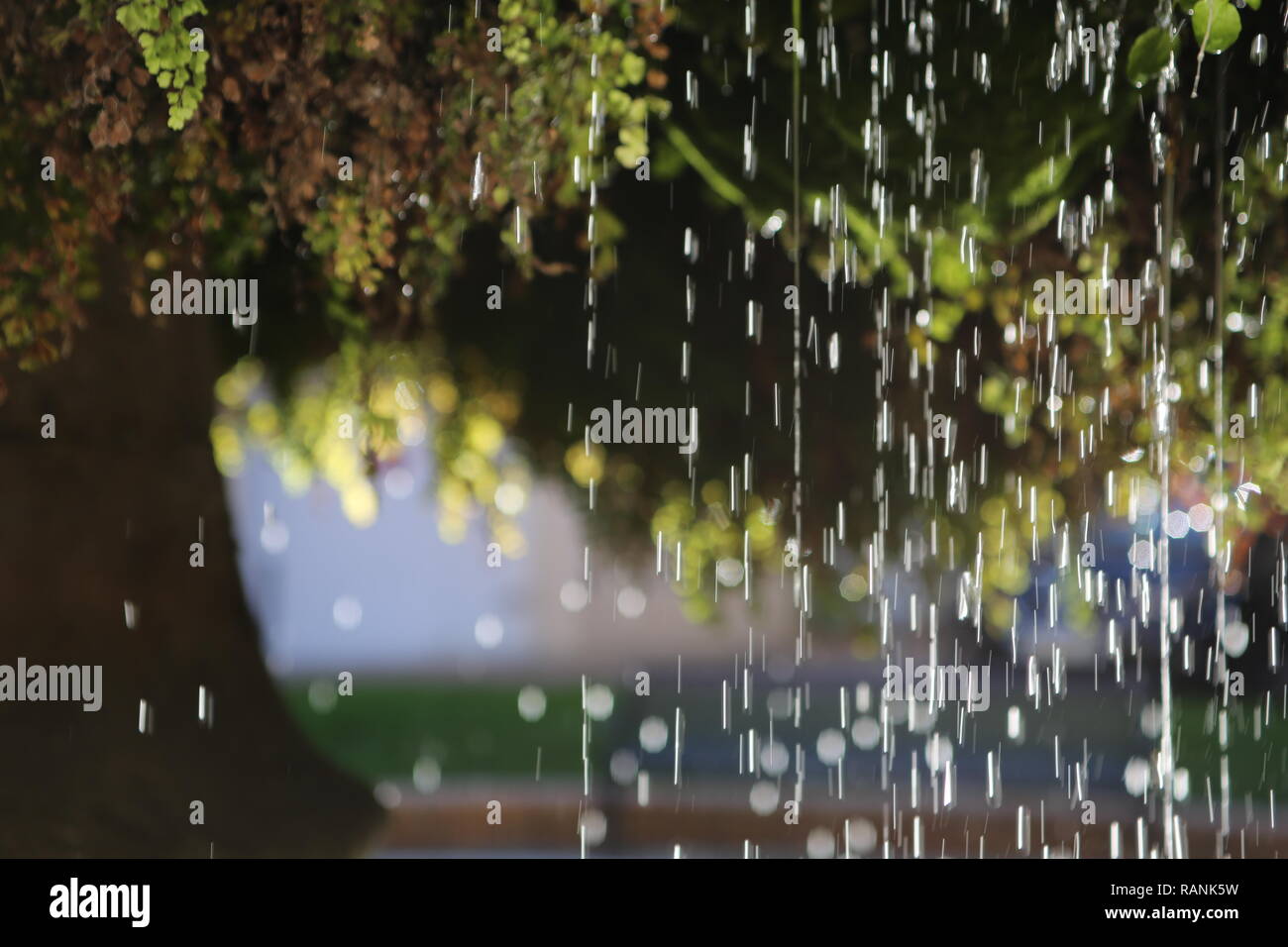 Moss fountain in SalondeProvence, fontaine moussue, Provence, France Stock Photo Alamy