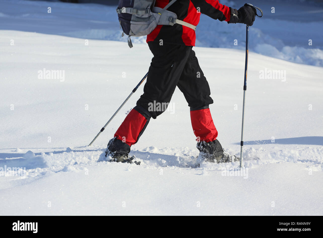 snow shoe walking with sticks Stock Photo Alamy
