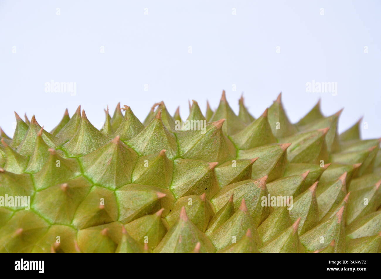 durian spiky texture and background Stock Photo
