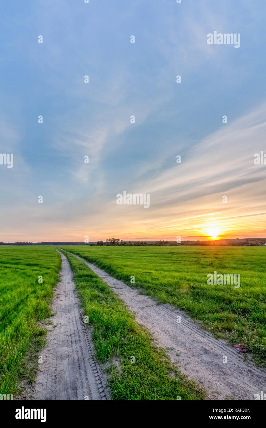 Road in a rural field with green grass under a beautiful sunset sky ...
