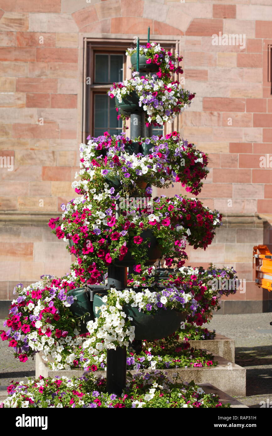 Blumen vor dem Rathaus , SaarbrÃ¼cken, Saarland, Deutschland Stock Photo