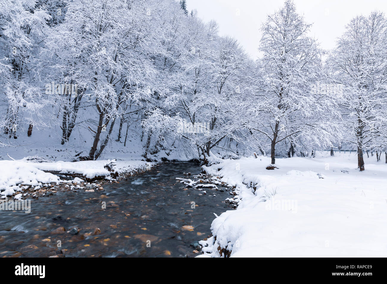 Winter landscape with a river and frosty trees Stock Photo - Alamy