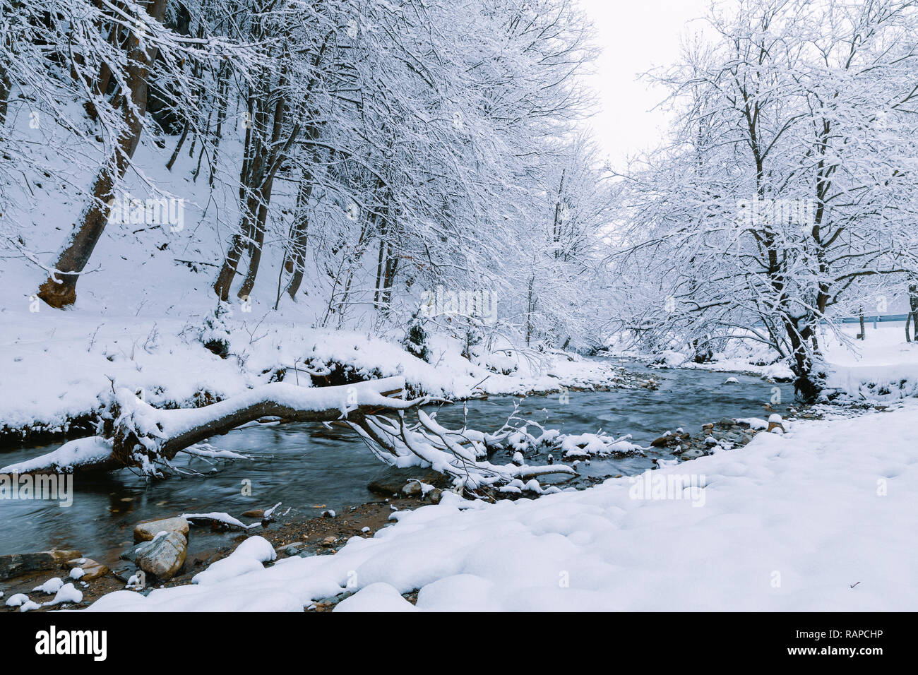 Winter landscape with a river and frosty trees Stock Photo - Alamy